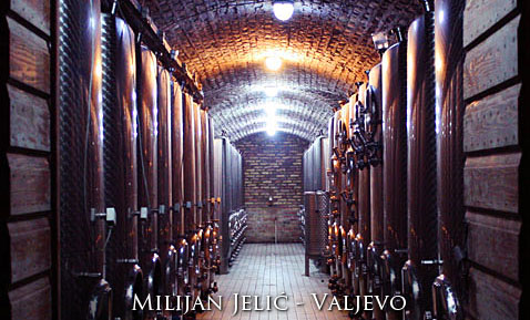 Milijan Jelić Winery