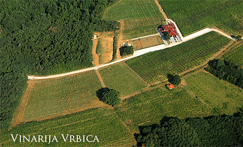 Vinarija Vrbica